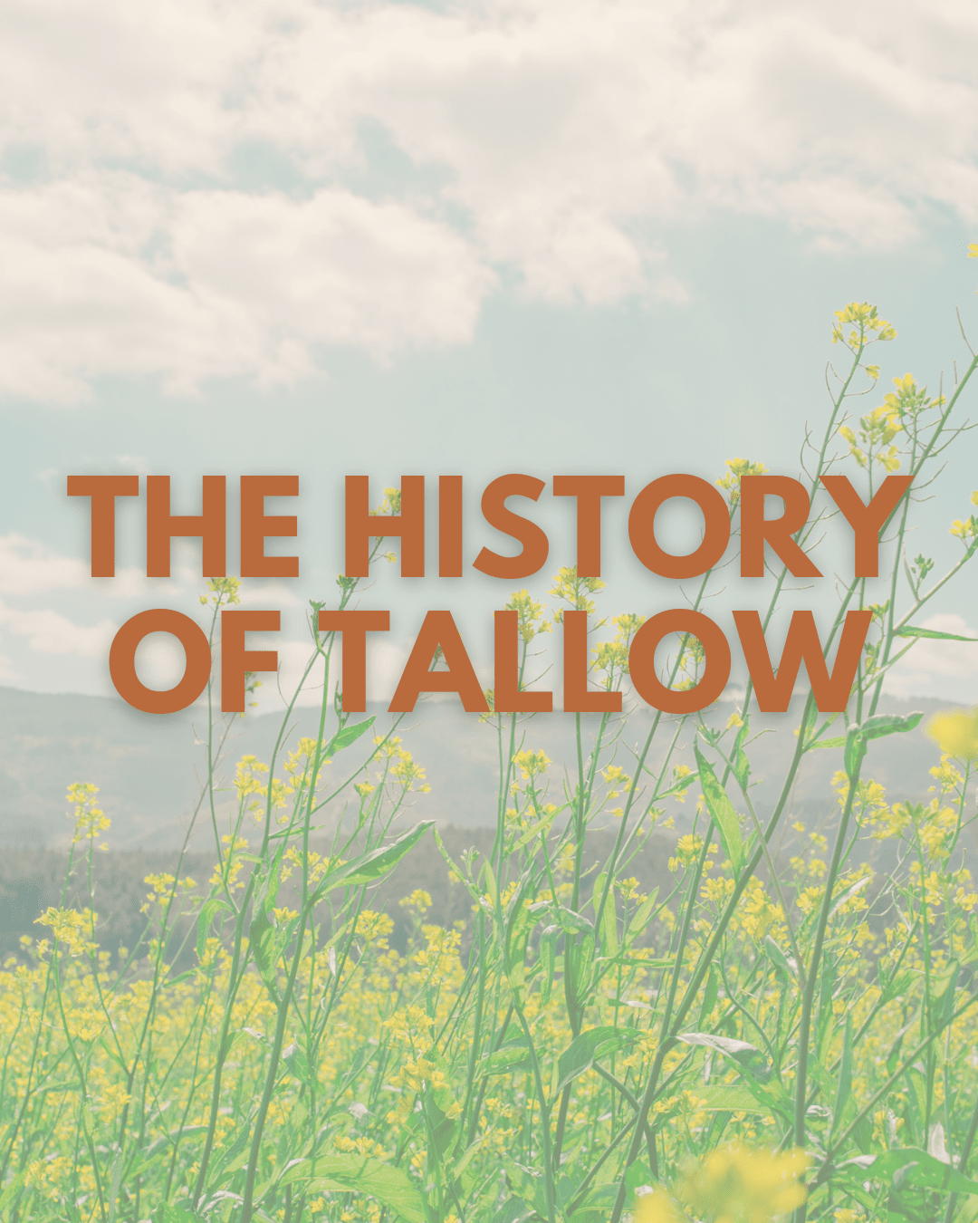 The History of Tallow: A Journey Through Time - Naturallow