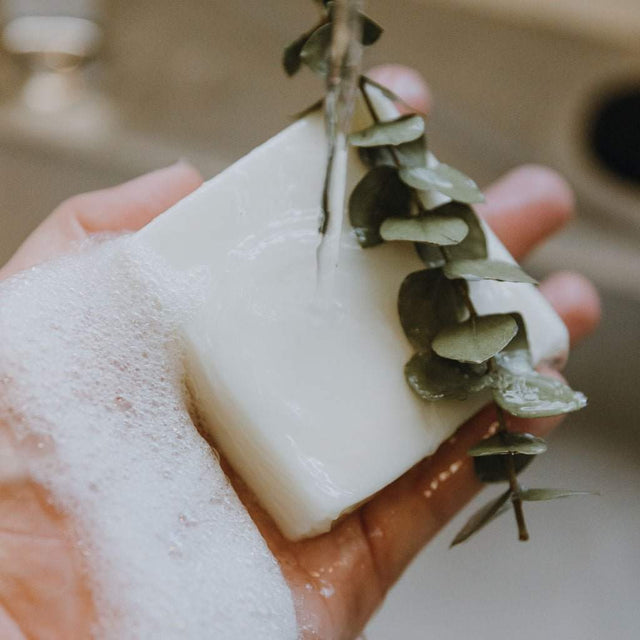 Naturallow Tallow Soap Bar lathering in a hand with bubbles and eucalyptus leaves