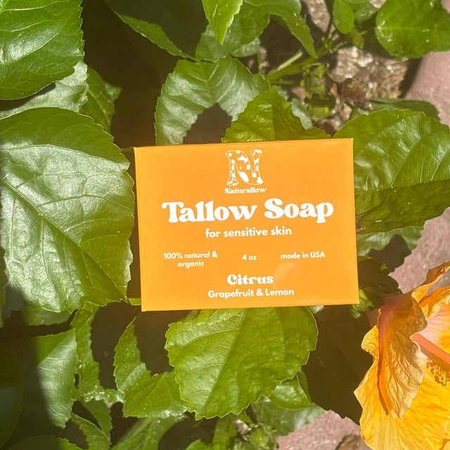 An orange box of Naturallow Tallow Soap for sensitive skin, Citrus Grapefruit & Lemon scent,  nestled among green hibiscus leaves.