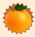 image_1771265091252_1.png__PID:10459b9f-e5ae-4e9a-a815-71df171edee7