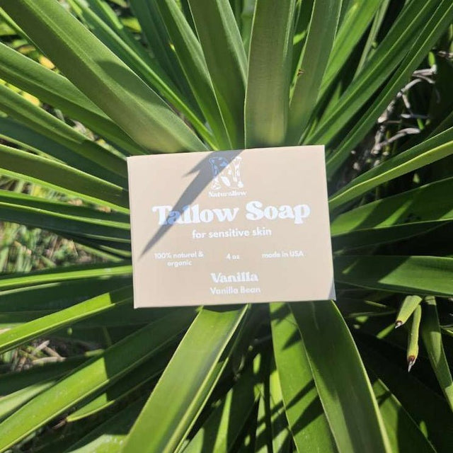 A rectangular beige Naturallow soap box labeled 'Tallow Soap' for sensitive skin, placed in front of a green yucca plant with white flowers outdoors.